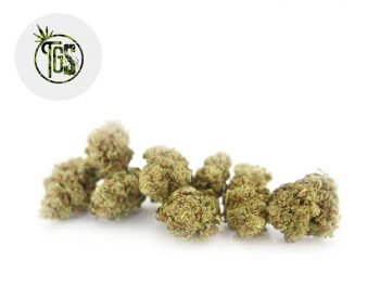 Fleurs CBD Fleur Blue Dream 2 CBD Sous serre 6% The Green Store