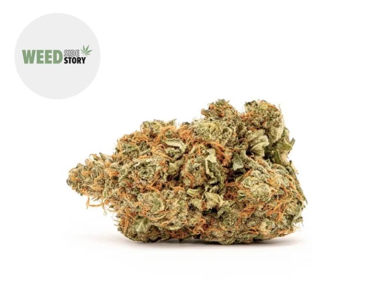 Fleurs CBD Fleur AK-47 CBD+ Sous serre 27% Weed Side Story