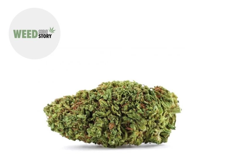 Fleurs CBD Fleur Blue Dream CBD+ Indoor 32% Weed Side Story