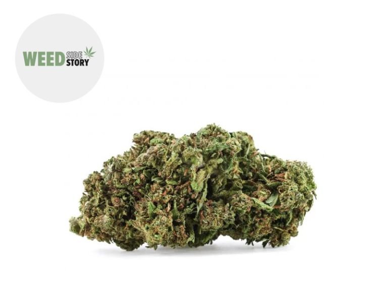 Fleurs CBD Fleur Forbidden Fruit CBD+ Indoor 33% Weed Side Story