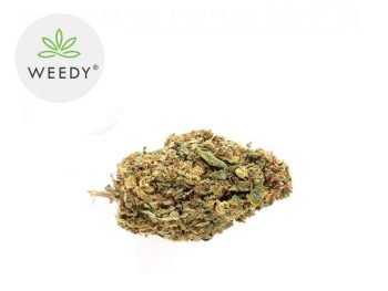 Fleurs CBD Fleur Banana Kush CBD Indoor 13% Weedy