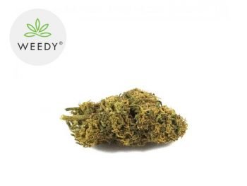 Fleurs CBD Fleur Caramel Candy CBD Indoor 7% Weedy