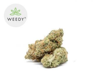 Fleurs CBD Fleur Cookie Kush CBD Indoor 11% Weedy