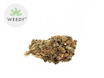 Fleurs CBD Fleur Harlequin CBD Indoor 11% Weedy