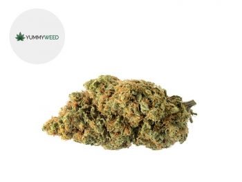 Fleurs CBD Fleur Amnesia CBD Indoor 11% Yummyweed