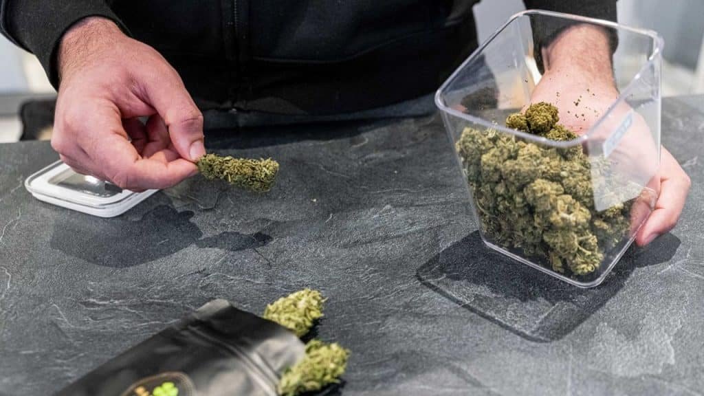 fleurs de cbd