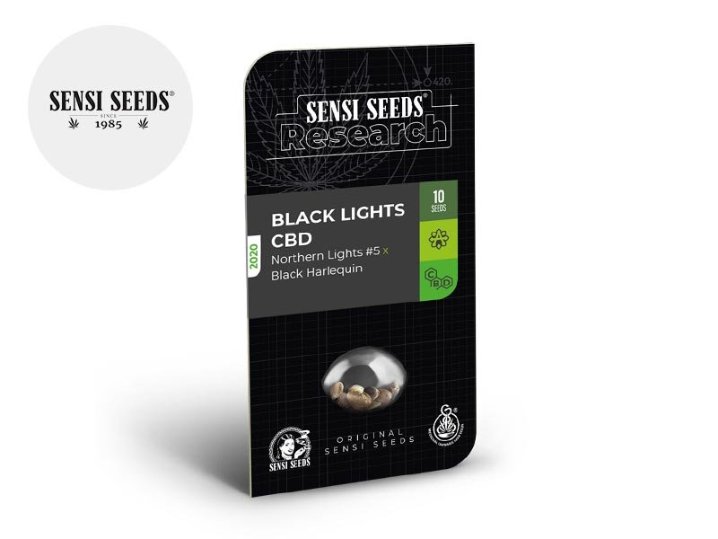 Graines CBD Graines Black Lights CBD autoflorissantes Sensi Seeds