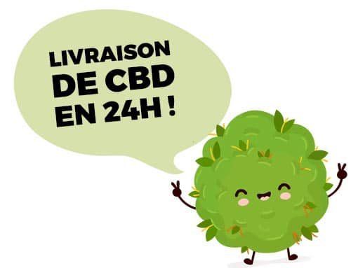 livraison CBD 24h