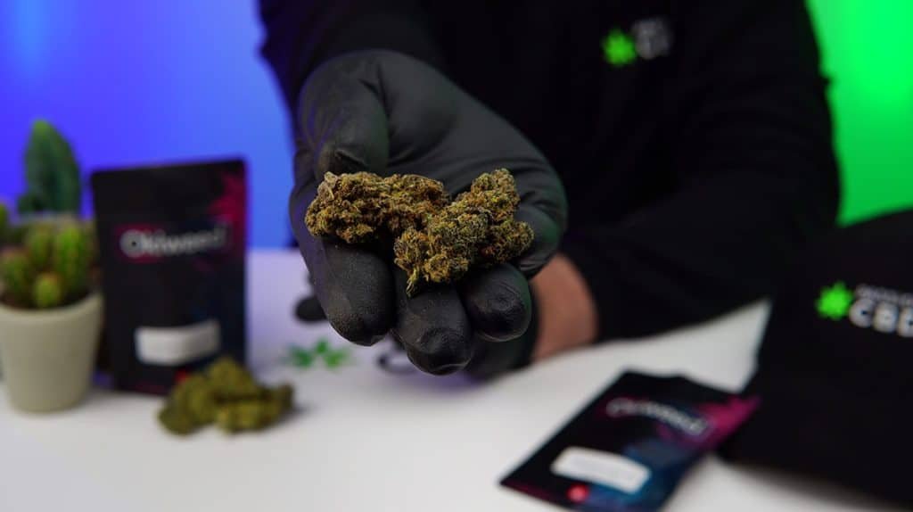 test fleur cbd amnesia okiweed