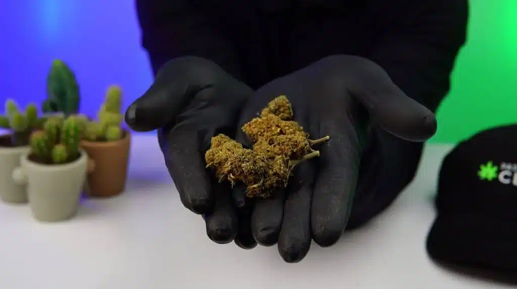 test fleurs cbd discounter