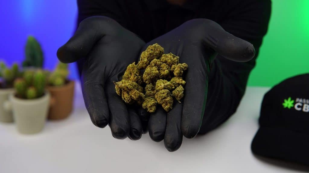 test fleurs cbd cbd.fr