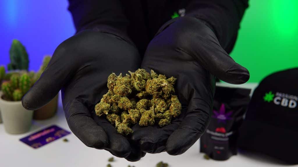 test fleurs cbd cbd purple