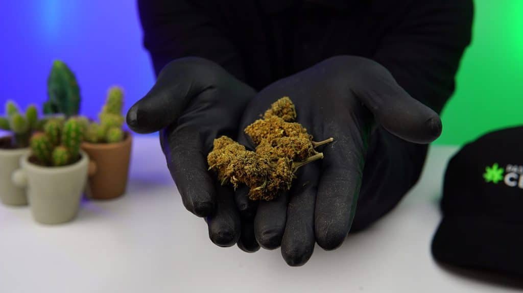 test fleurs cbd golden cbd