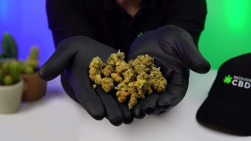 test fleurs cbd tealerlab