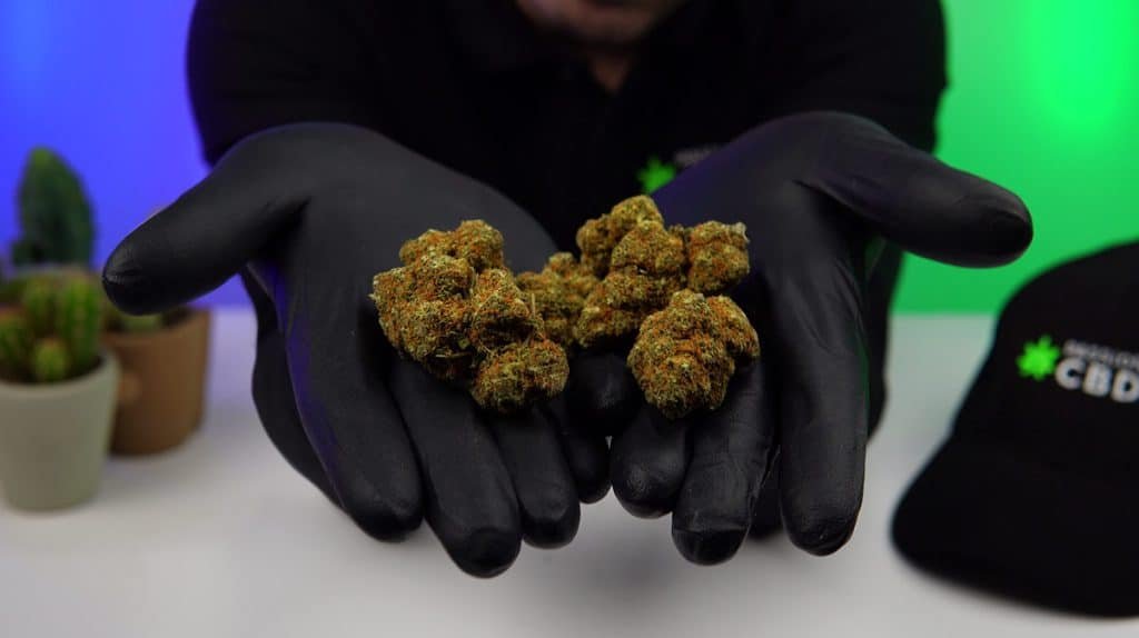 test fleurs cbd weed side story