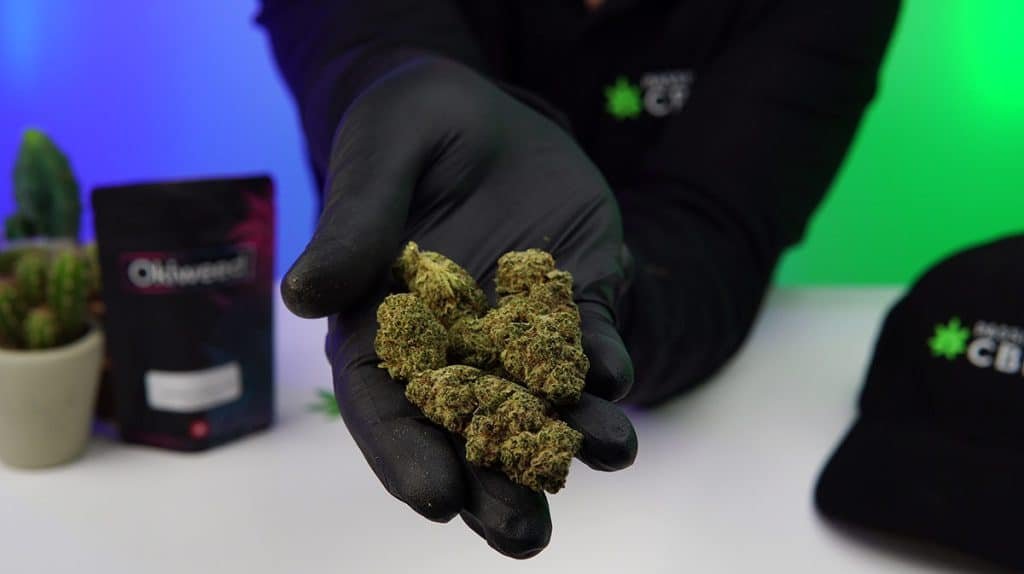 unboxing fleurs de cbd