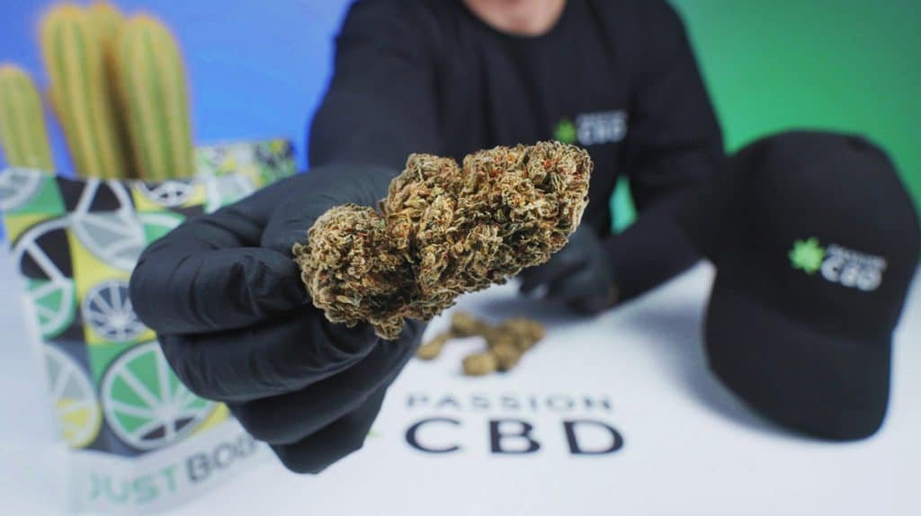 test fleur cbd justbob