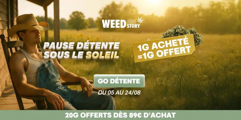 weed side story Pause détente sous le soleil